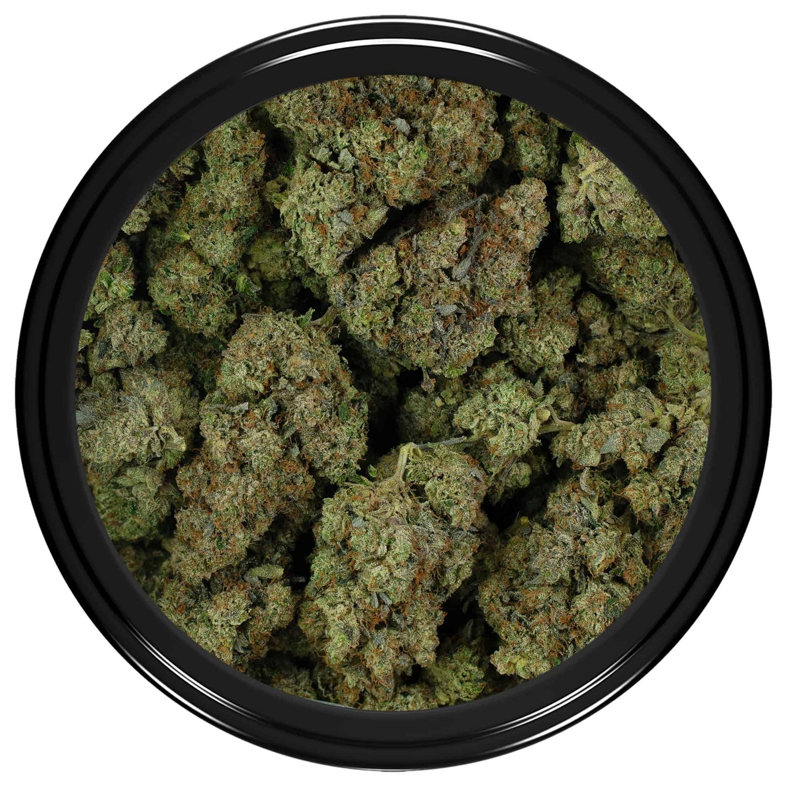 Alien Bubba - Image 2