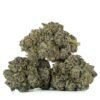 Black Truffle
