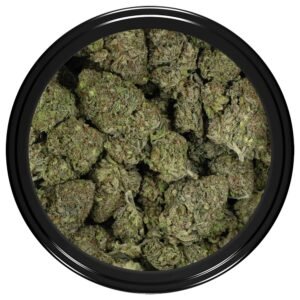 Alternative view of Skunkberry