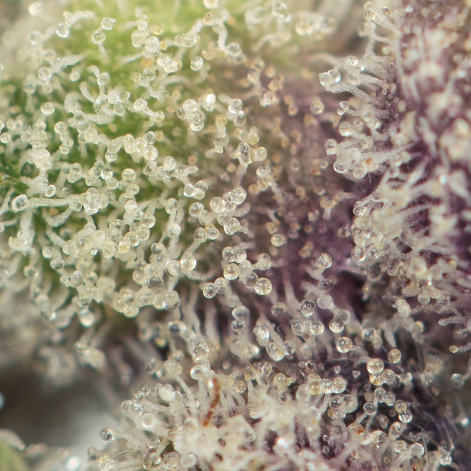 Slurricane - Image 3