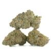 Sub Zero #12 by North Genetics